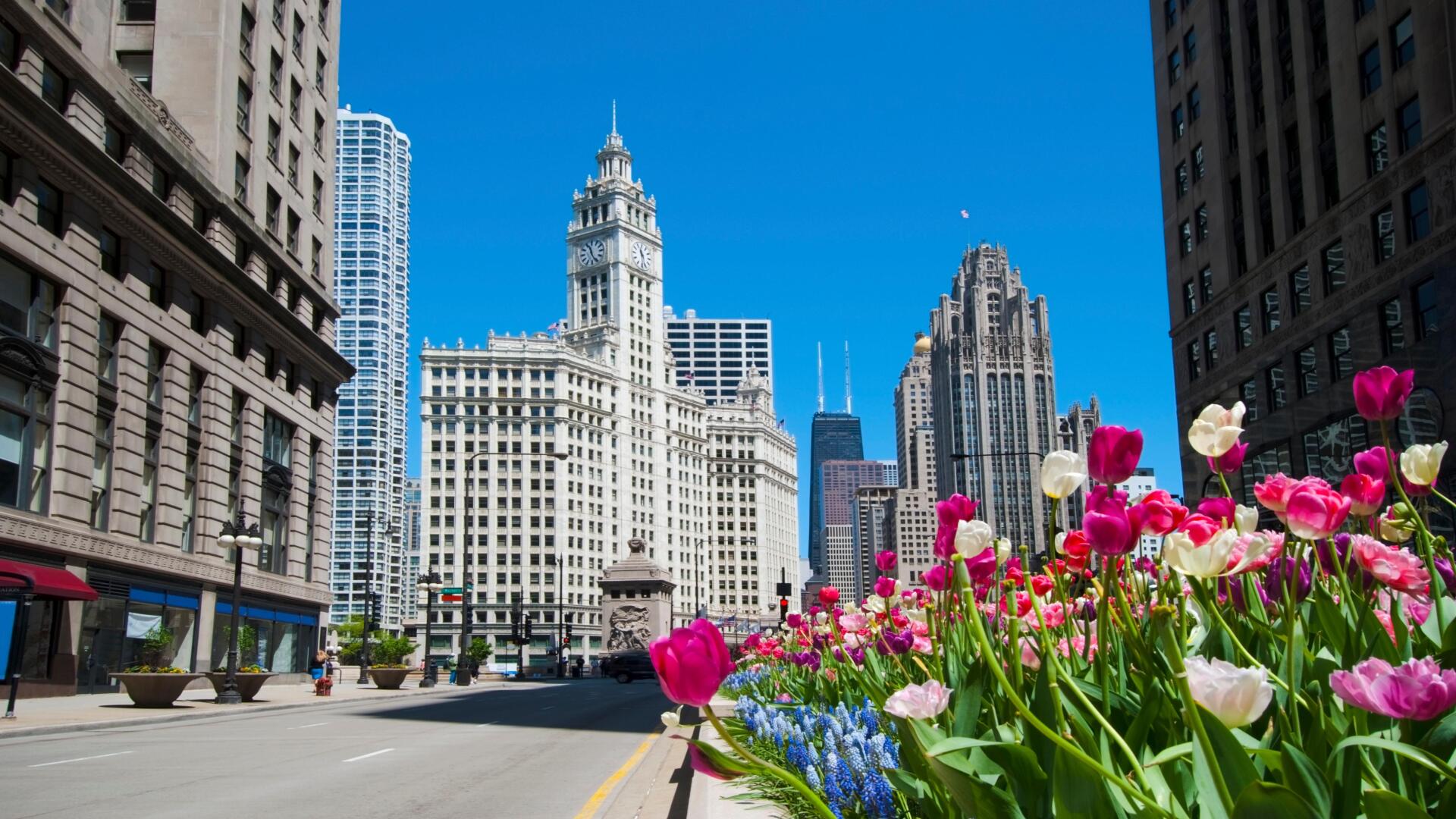 Chicago