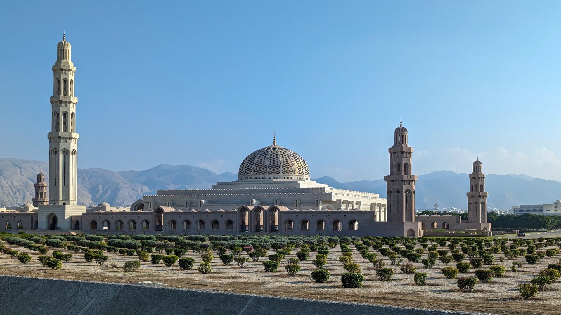 Muscat