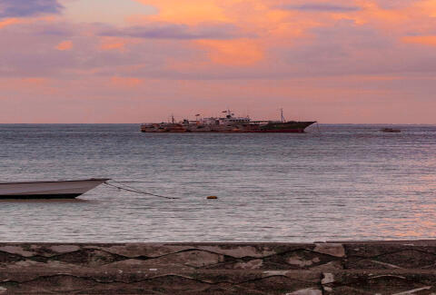 Apia