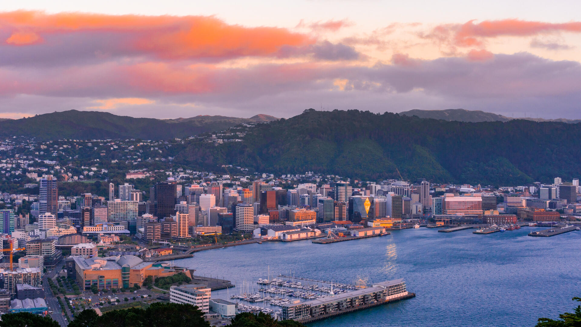 Wellington