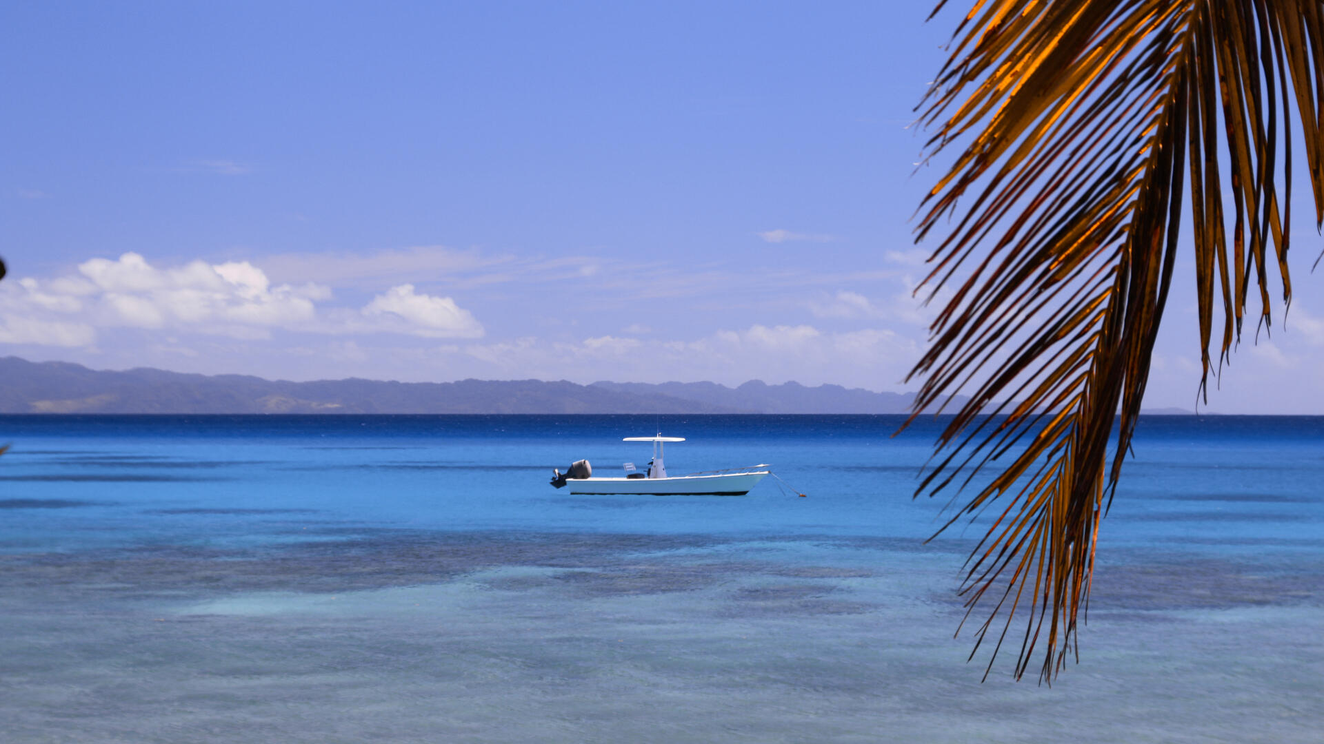 Taveuni Island