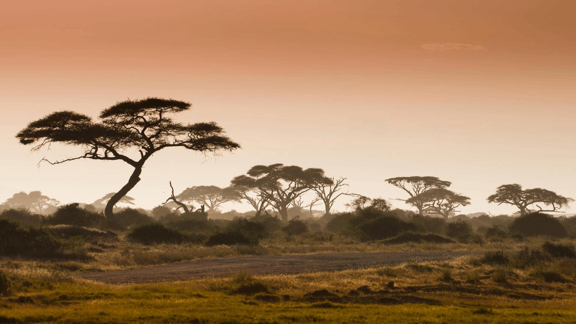 Africa
